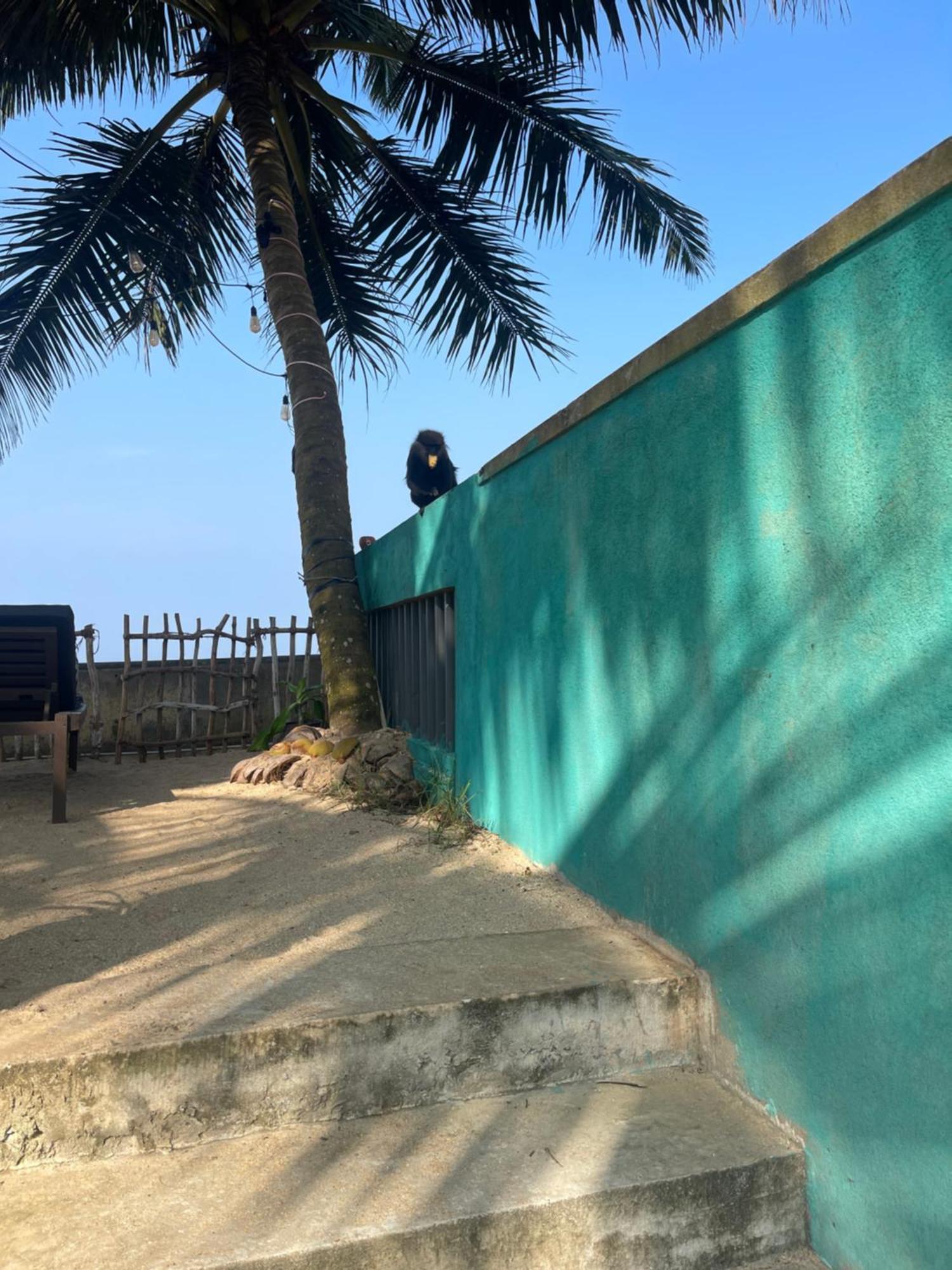 Blue Maalu Resort Ambalangoda  Buitenkant foto